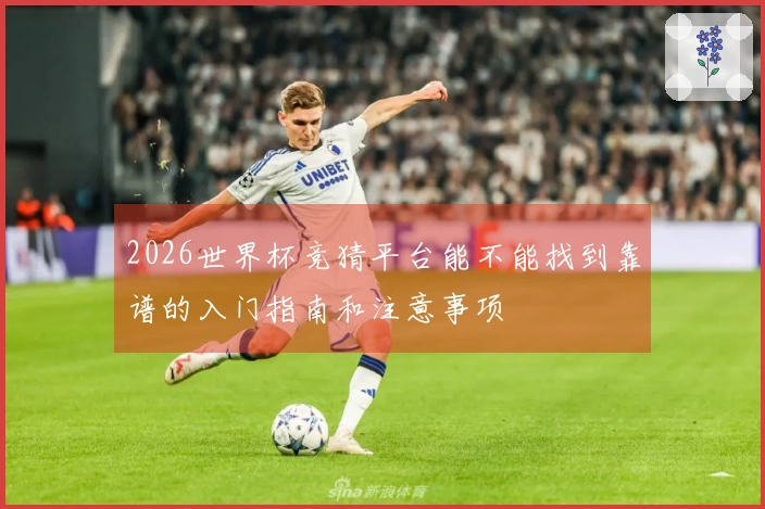 2026世界杯竞猜平台能不能找到靠谱的入门指南和注意事项